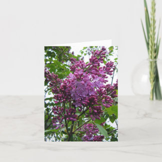 Carte "Moi de chez de lilas "