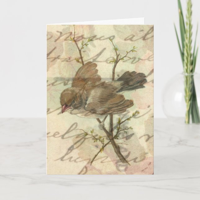 Carte Moineau vintage avec fond manuscrit (Devant)