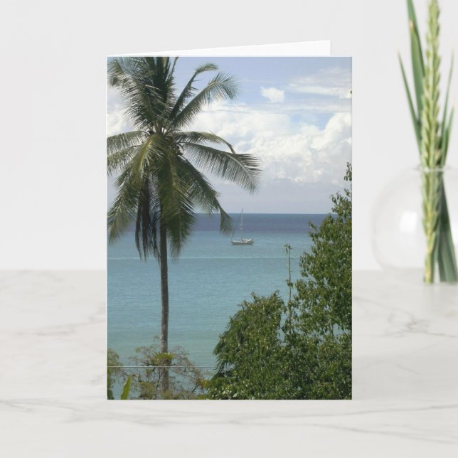 Carte Moira à l'ancre, Bahia Drake, Costa Rica (Devant)