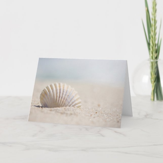 Carte Mollusk Seashell (Devant)
