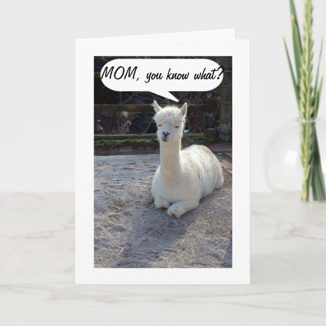 CARTE MOM-LLAMA DIT QUE PERSONNE N'A UN MEILLEUR DEUX FO (Devant)