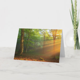 Carte Moment d'or de lumière