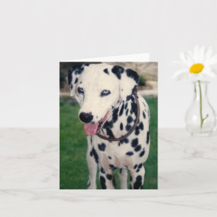 Carte Mon ami animal personnalisé avec photo
