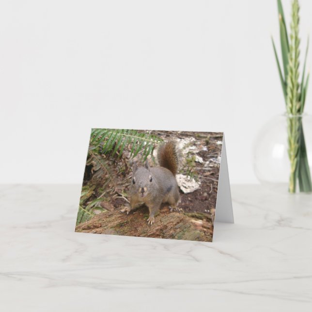 Carte Mon ami Fuzzy (Devant)
