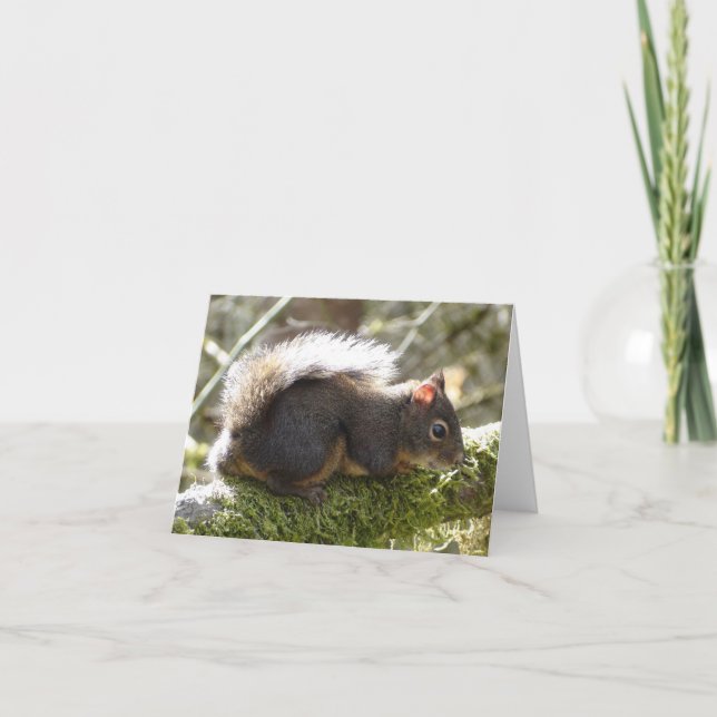 Carte Mon ami Fuzzy (Devant)
