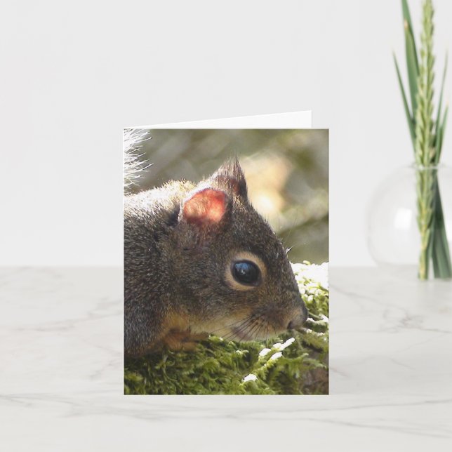 Carte Mon ami Fuzzy (Devant)