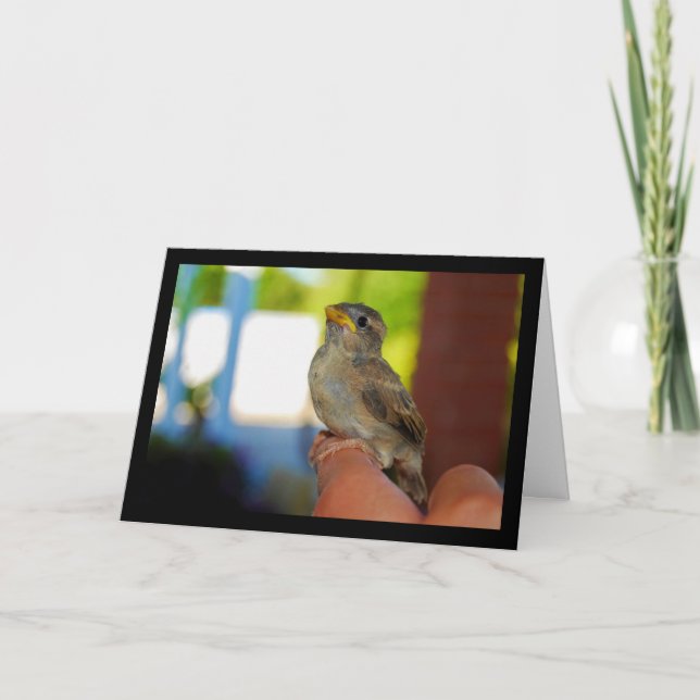 Carte Mon ami moineau (Devant)