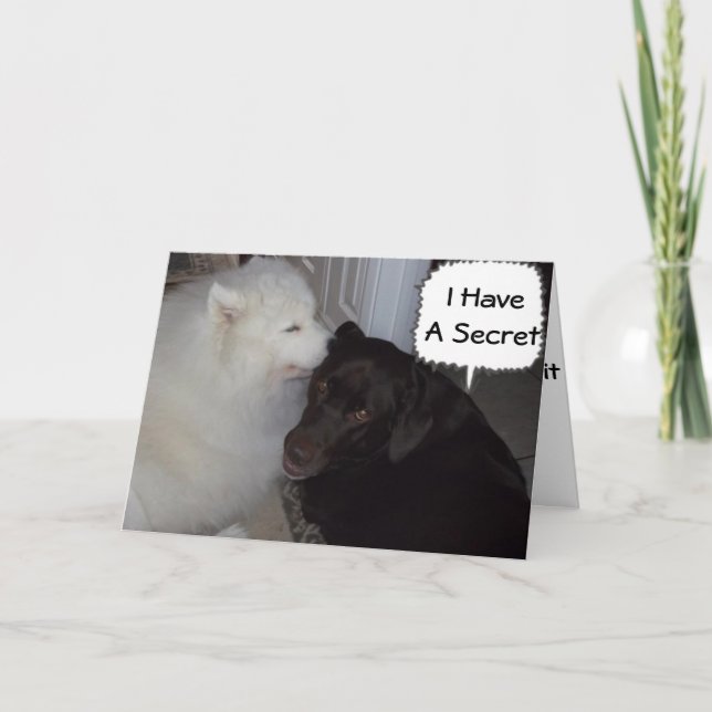 CARTE MON SECRET EST QUE JE T'AIME - TOUT LE MONDE LE SA (Devant)