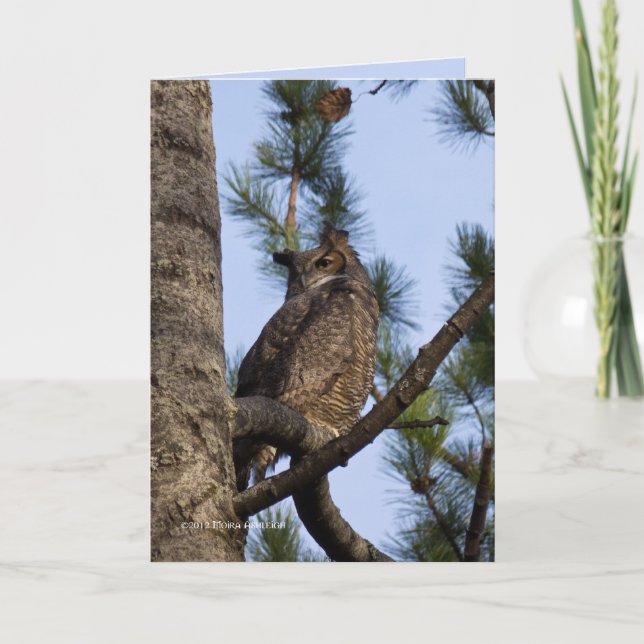 Carte Mon voisin forestier (Devant)