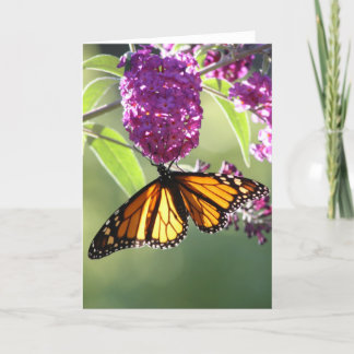 Carte Monarch Butterfly