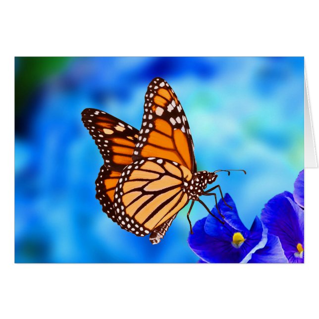 Carte Monarch Butterfly (Devant horizontal)
