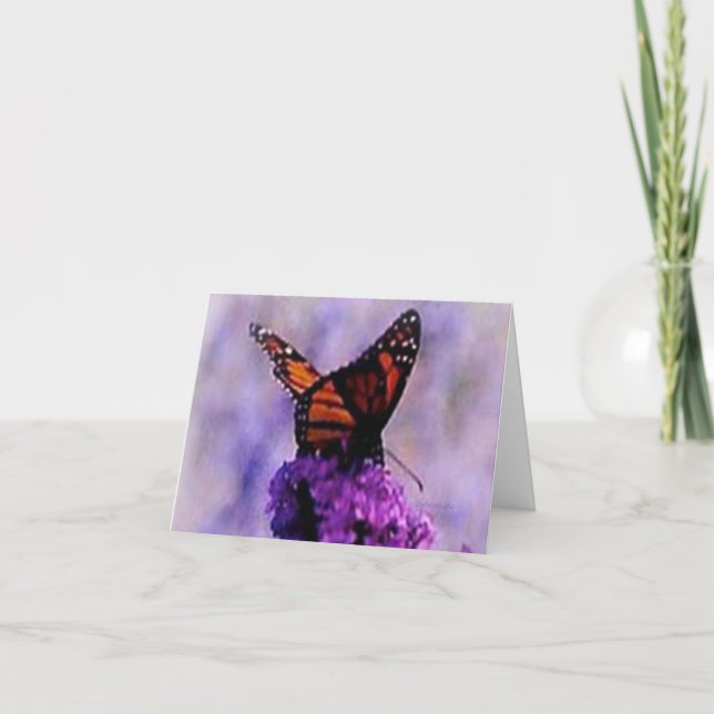 Carte Monarque Papillon Orange et Black Sympathy (Devant)