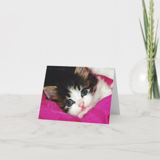 Carte Mondes Cutest Kitten (Devant)