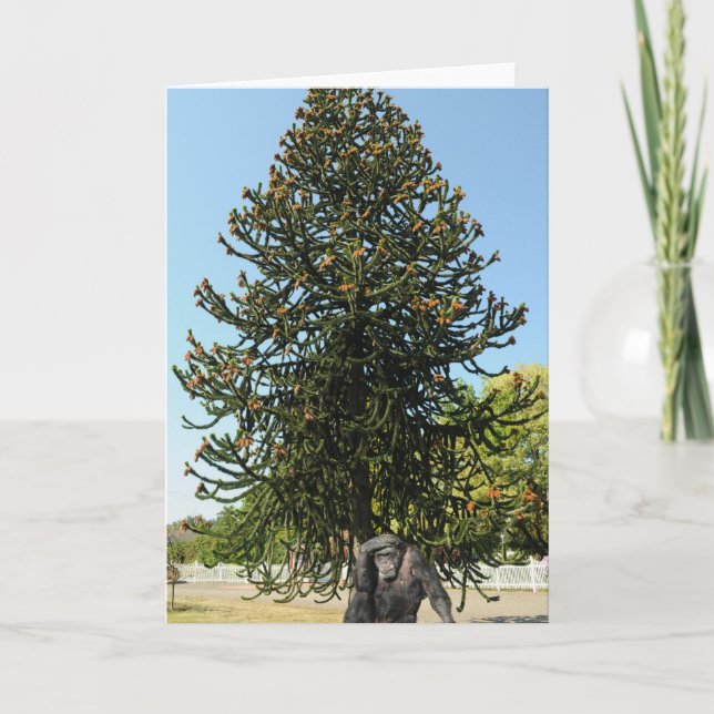 Carte Monkey Puzzle & Puzzled Gorilla. (Devant)