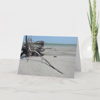 Carte Monomoy National Wildlife Refuge in Cape Cod