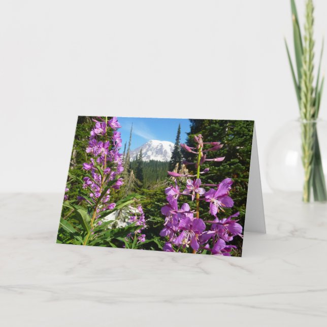 Carte Mont Rainier Entre Fleurs Violettes De Phlox (Devant)