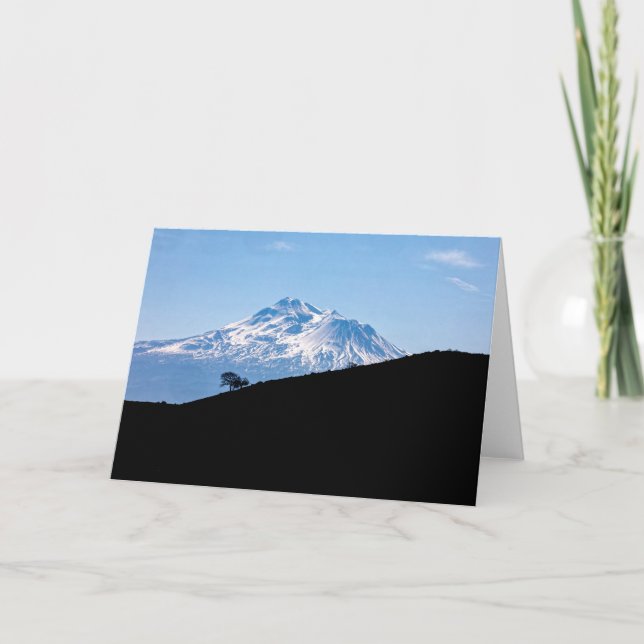 CARTE MONT SHASTA (Devant)