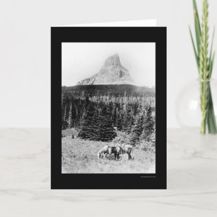 Carte Montagne en chef du parc national 1925 de glacier