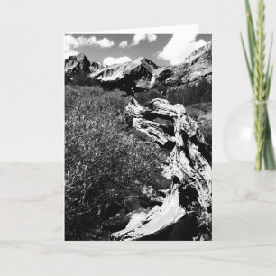 Carte Montagnes de l'arbre mort, noir et blanc, blanc à