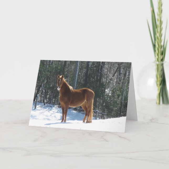 Carte Montre d'hiver (Devant)