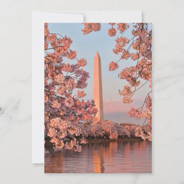 Carte Monument Washington avec fleurs de cerisier (Devant)