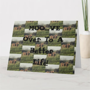 Carte Moo...Allez !