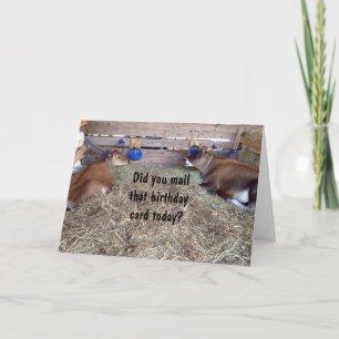 CARTE MOO VWS PARLE DE VOTRE VOEUX D'ANNIVERSAIRE