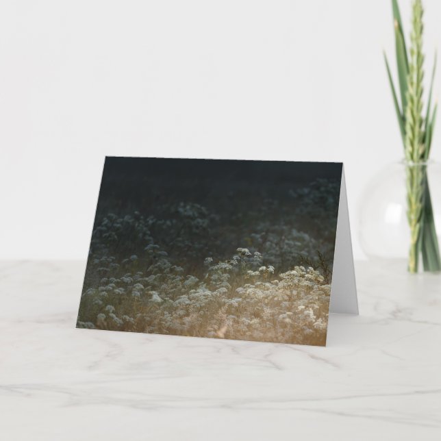 Carte Moody meadow (Devant)