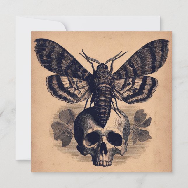 Carte Moth on Skull Antique Goth Horror Illustration (Devant)