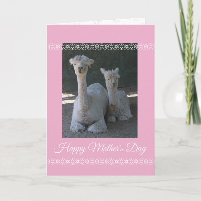 Carte Mother's Day Alpaca (Devant)