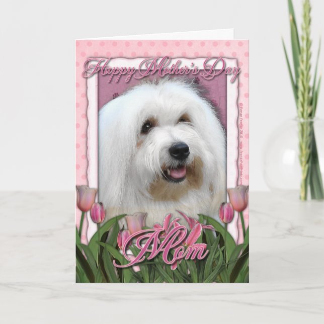 Carte Mothers Day - Pink Tulips - Coton de Tulear (Devant)