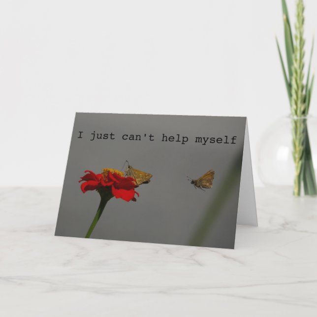 Carte Moths 'I Go Where You Go (Devant)