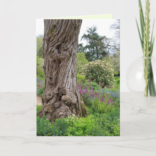 Carte Motifs Hidcote Garden  d'écorce texturée de Ash Tr (Devant)