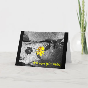 Carte Motivationnelle "Croissance là où vous êtes