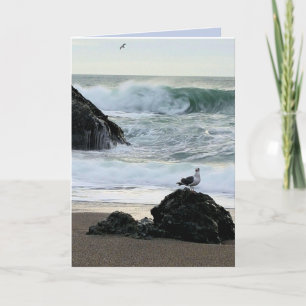 Carte Mouette au bord de la mer