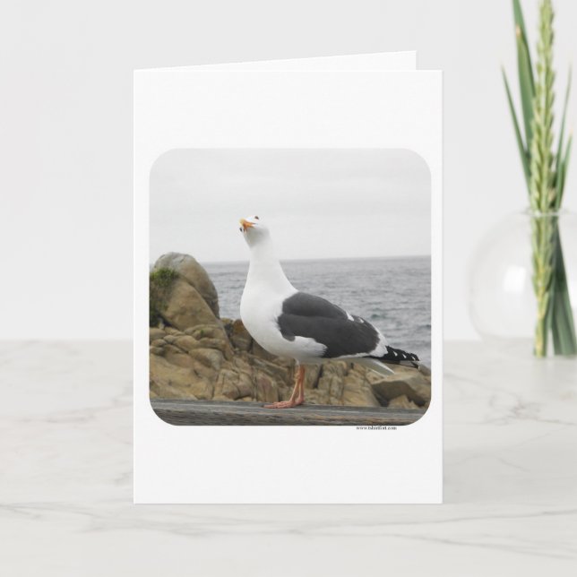 Carte Mouette drôle de tête d'inclinaison (Devant)