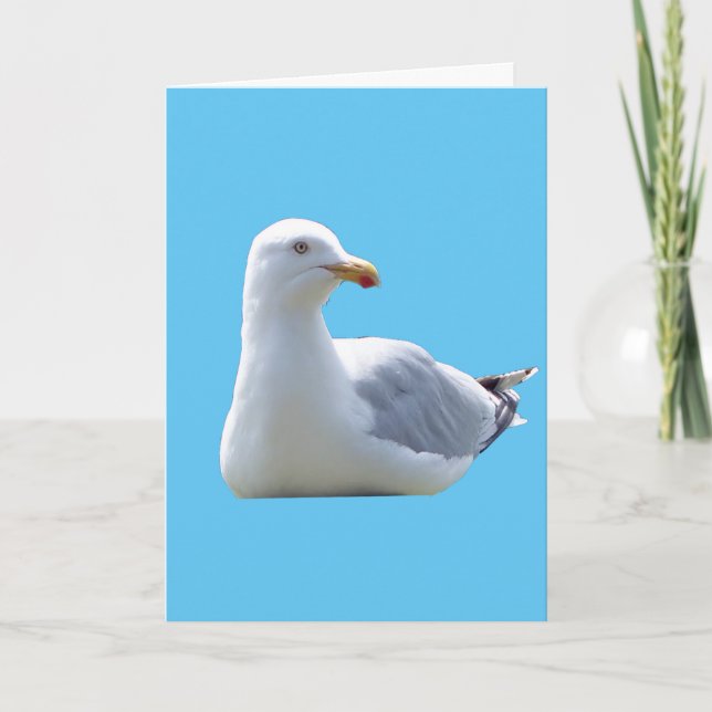 Carte Mouette paisible reposant oiseau océan ciel bleu (Devant)