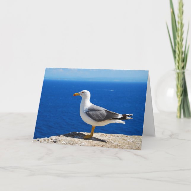 Carte Mouette sur la plage (Devant)