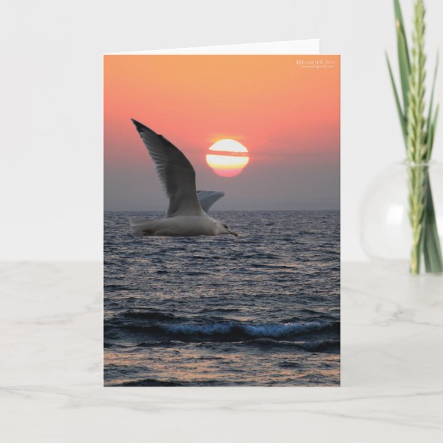 Carte Mouette sur le lac Supérieur (Devant)