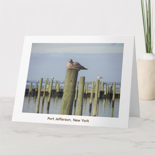 Carte mouettes, Port Jefferson NY (Devant)