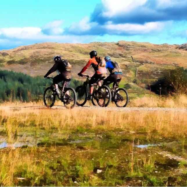 CARTE MOUNTAIN BIKING (Créateur téléchargé)