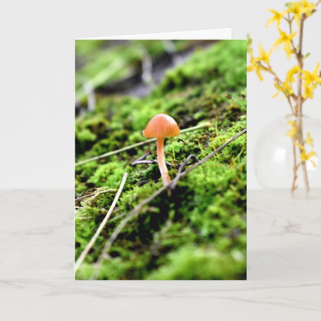 Carte Mousses et lichens avec de minuscules champignons (Fleur jaune)
