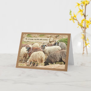 Carte Moutons/ "Oh, regardez, des gens de la ville avec