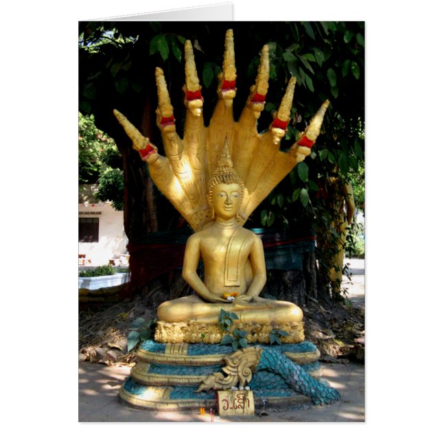 Carte Mucalinda (Devant)