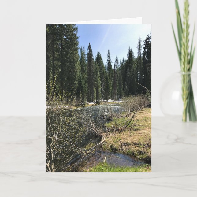 Carte Muir Creek, Oregon (Devant)