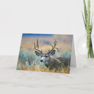 Carte Mule Deer Buck Parc national du Grand Teton Wyom