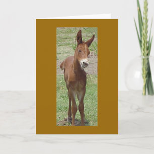 Carte Mule Greeting Card