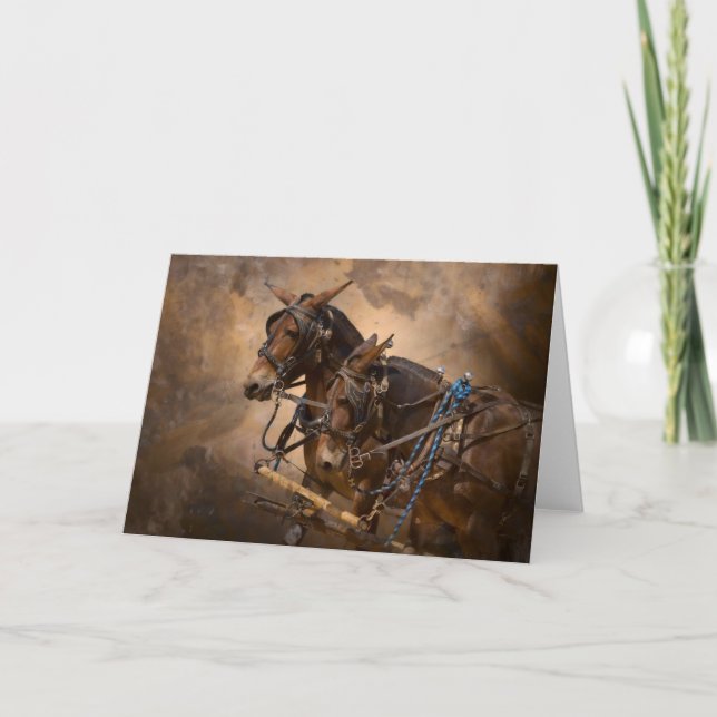 Carte Mules dans le harnais (Devant)