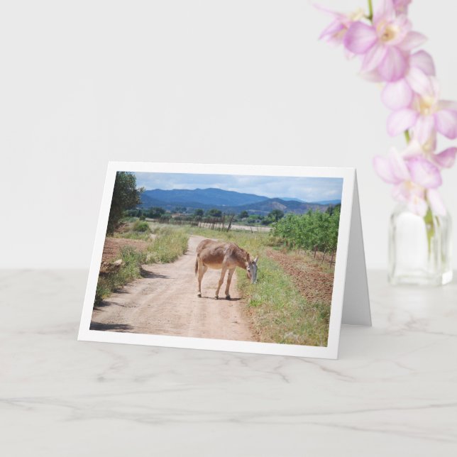 Carte Mulet espagnol sur route de campagne (Orchidée)