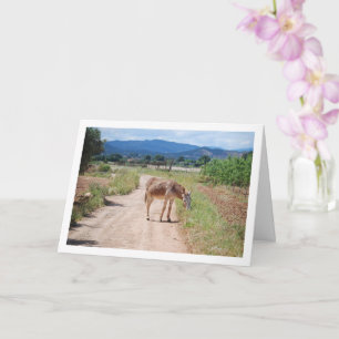 Carte Mulet espagnol sur route de campagne